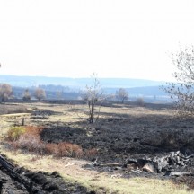 La fagne incendiée-Baraque Michel-Signal de Botrange-3 mai 2010