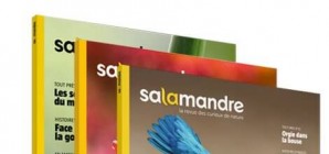Nous avons aimé... La Salamandre, en 3 versions !