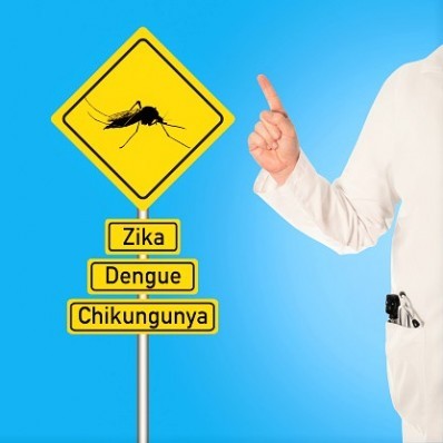 Dengue - Zika