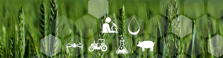 Landwirtschaft, ländlicher Raum und Labor 