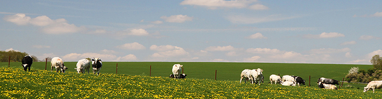 Agriculture & développement rural