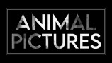 Animal Picture - visuel