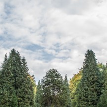 Anwesen – Province de Liège ©