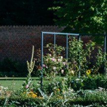 Anwesen – Province de Liège ©