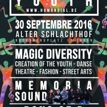 Flyer Groove of the Youth 