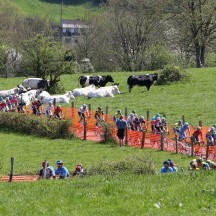 Liège Bastogne Liège / Flèche Wallonne