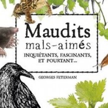 Maudits, mal-aimés, inquiétants, fascinants et pourtant...