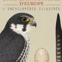 Rapaces diurnes ou nocturnes d'Europe