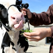 La Ferme didactique de la Province de Liège