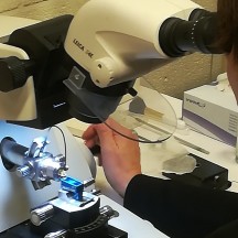 Gros plan sur l'observation au microscope électronique