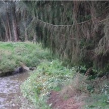 Ruisseau le Bach - Stabilisation de berge naturelle intégrée