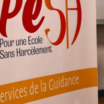 PESH - Pour une Ecole Sans Harcèlement - Province de Liège