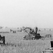 21/06/1943, panzer devant le saillant de Koursk
