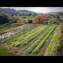 Les cultures de Vent de Terre