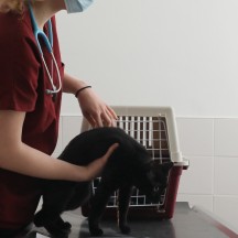 Fondation Prince Laurent - Cass