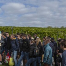 vignoble didactique provincial