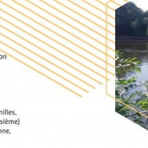 Découvrez les stages d'été au Domaine provincial de Wégimont!