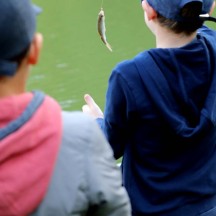 Découvrez les stages d'été au Domaine provincial de Wégimont!