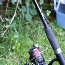 Découvrez les stages d'été au Domaine provincial de Wégimont!