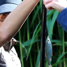 Découvrez les stages d'été au Domaine provincial de Wégimont!