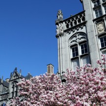 Visitez le Palais provincial de Liège