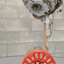 piège copyright provliège