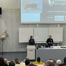 conférence copyright provliège