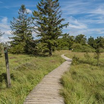 Cantons de l'Est-Hautes Fagnes - © FTPL-JM Léonard