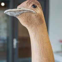 Blasius