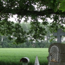 Arbres à loques et à clous - Stambruge