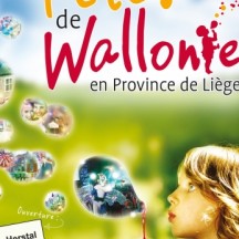 Affiche des Fêtes de Wallonie en Province de Liège 2013