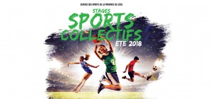 Découvrez les stages « Sports collectifs », été 2018, du Service des Sports de la Province de Liège