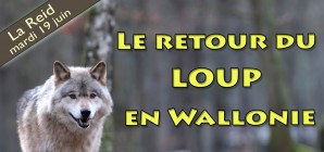 Conférence: "Le retour du loup en Wallonie"