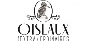 Balade contée Oiseaux (extra)ordinaires 