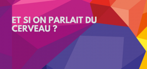 Conférence : Le développement du cerveau