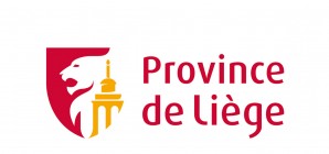 Comptes annuels de la Province de Liège
