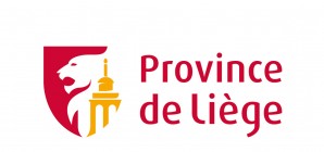 Comptes annuels 2023 de la Province de Liège