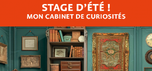 Stage d'été "Mon cabinet de curiosités" 