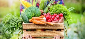 Formation « Coopératives dédiées à la vente de produits locaux »