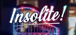 Insolite ! : Sept artisans liégeois aux métiers rares et fascinants réunis dans un nouvel ouvrage