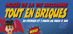 TOUT EN BRIQUES #7 - Expo constructions LEGO®