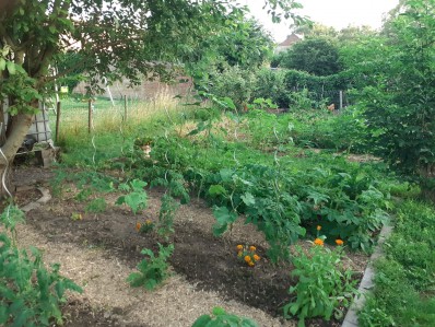 jardin