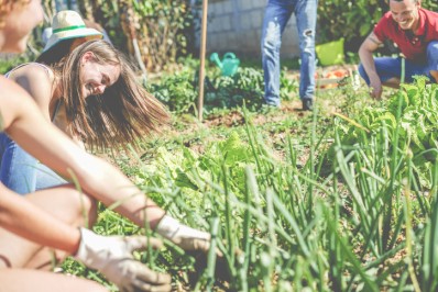 Le Projet Noé - Création de jardins collectifs