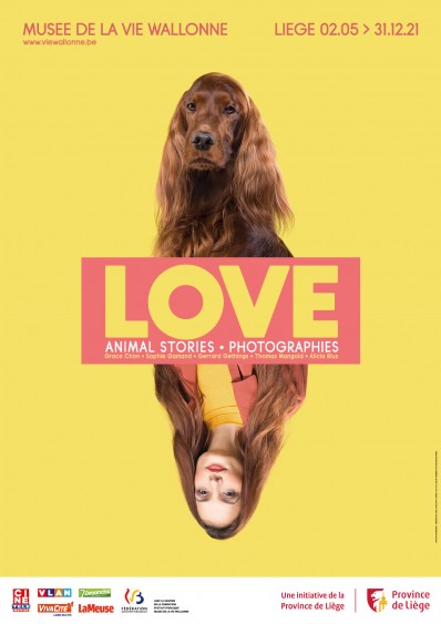LOVE - Animal Stories