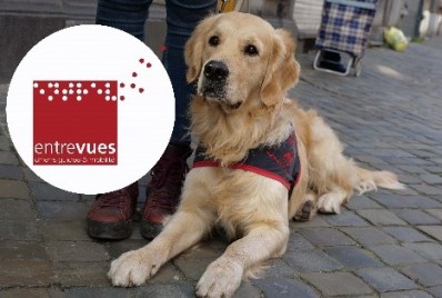 Entrevues – Chiens guides et mobilité