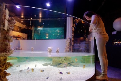 Aquarium-Museum de Liège © Jacques Ninane - Aquarium-Muséum