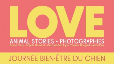 Journées bien être du chien