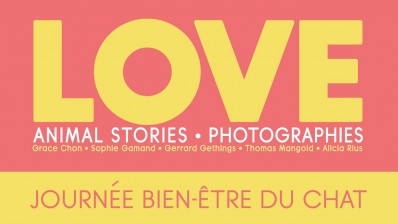 Journées bien être du chat