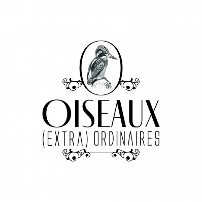 Oiseaux (extra)ordinaires 