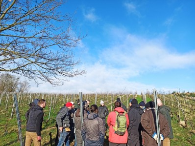 Formation dans les vignes